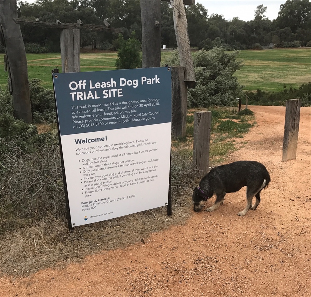 Dog off-leash park to remain open after successful trial